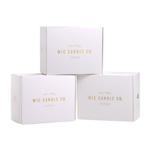 The Starter Box (Wholesale)